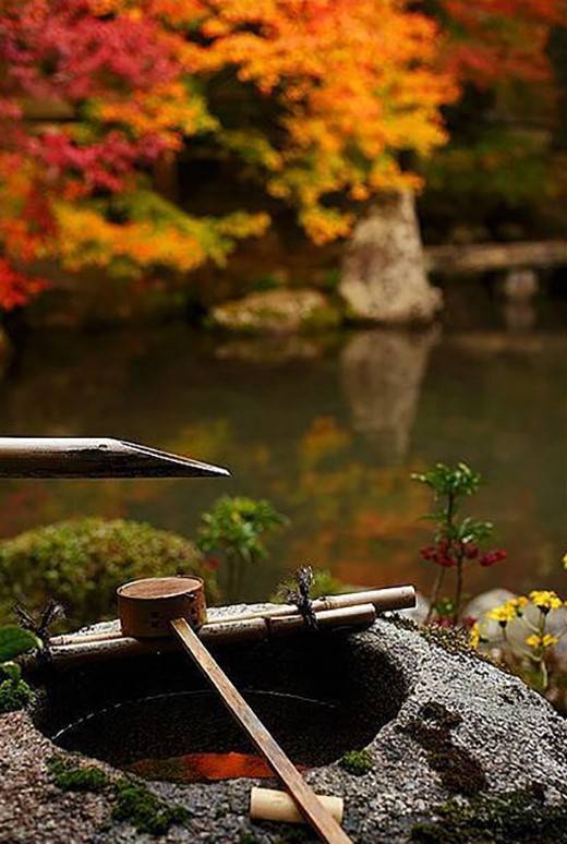 日本庭院之洗手缽